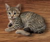 Copper - Kit