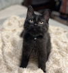 Pablo