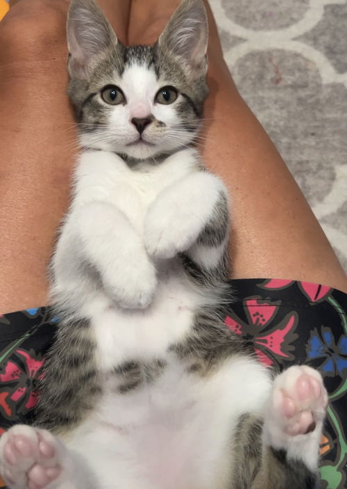 Rory