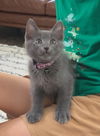 Stormy and Furby
