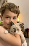 Stormy and Furby