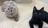 Winnie and Zendaya