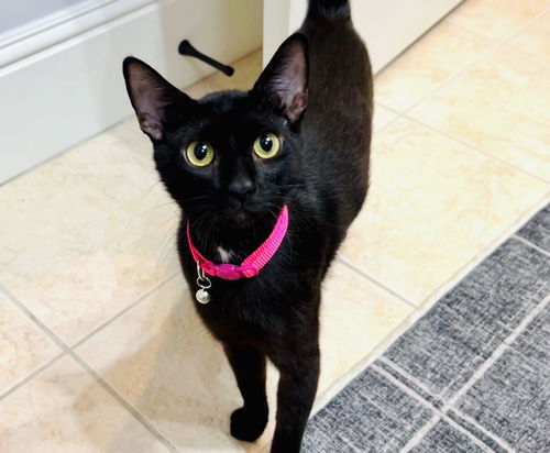 Tina