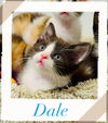 Dale
