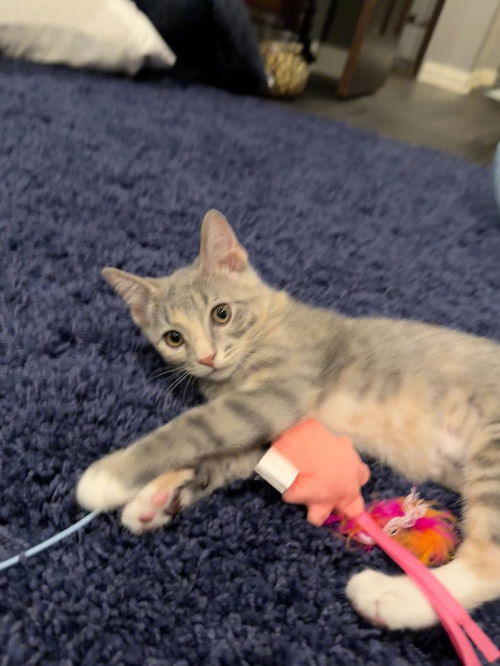 Freya