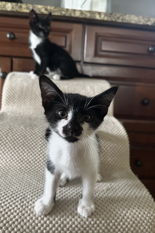 Magic and Daisy