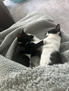 Magic and Daisy