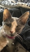 Lucy Lou