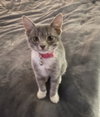 Maggie