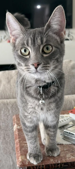 Jack