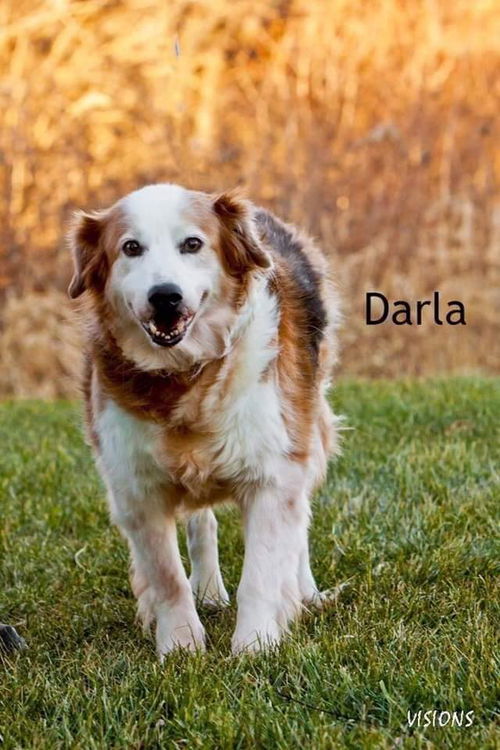 Darla