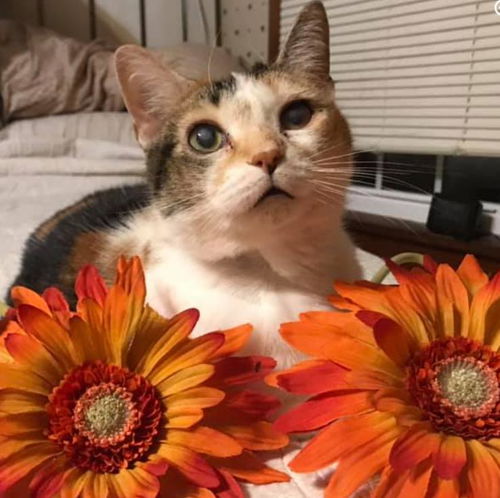 Chloe