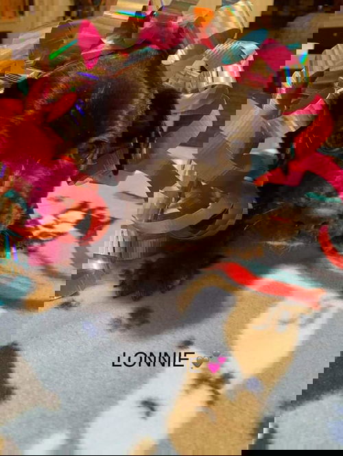 Lonnie