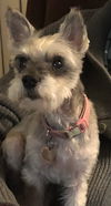 Sophie