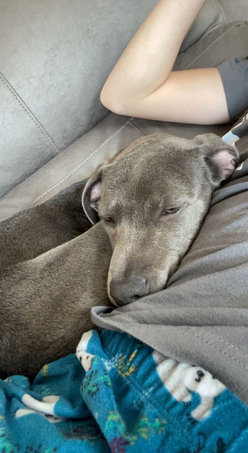 Skye