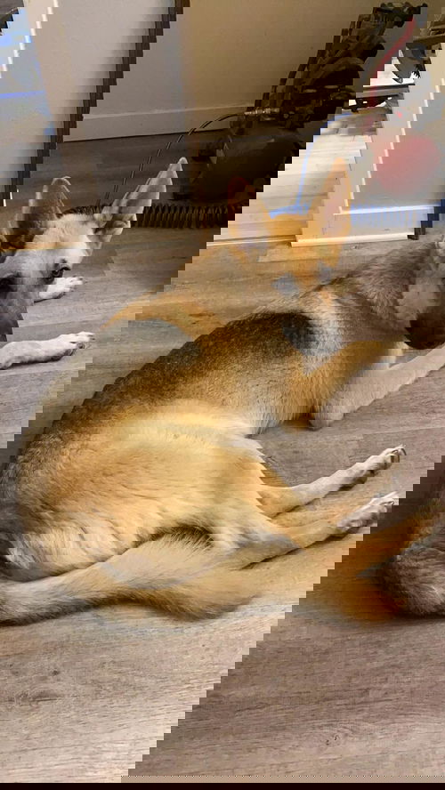Ares