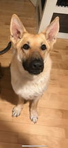 Ares