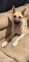 Ares