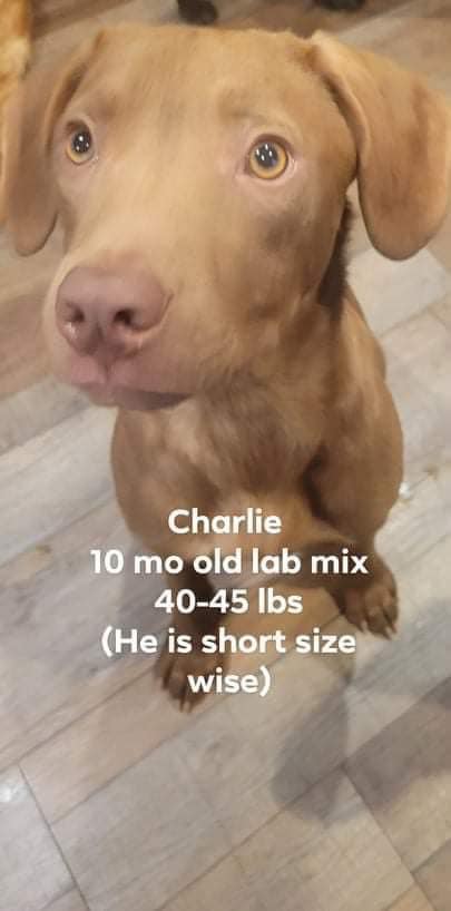 Charlie