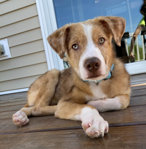 Copper