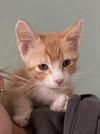 Sebastian