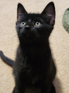 Charlie