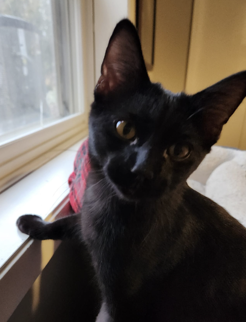 Charlie