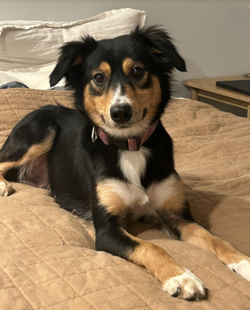 Chloe