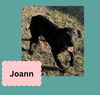 Joann