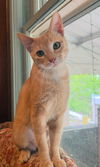 Thelma