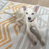 Casper