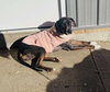 Allie - Photo 4