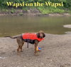 Wapsi - Photo 5