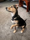Billy - Photo 2