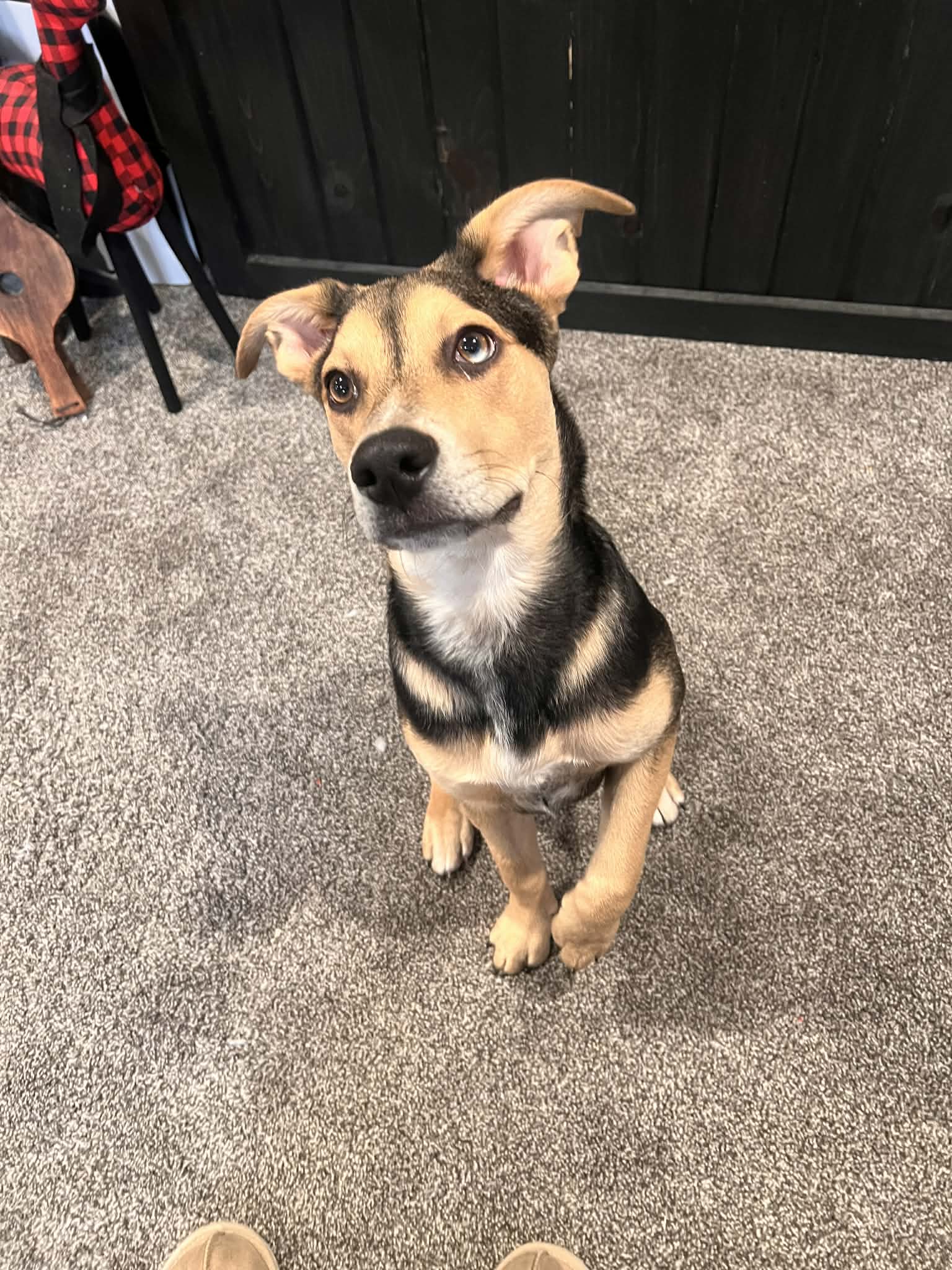 Billy