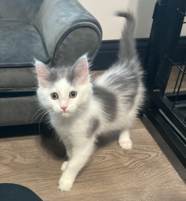 Charlie
