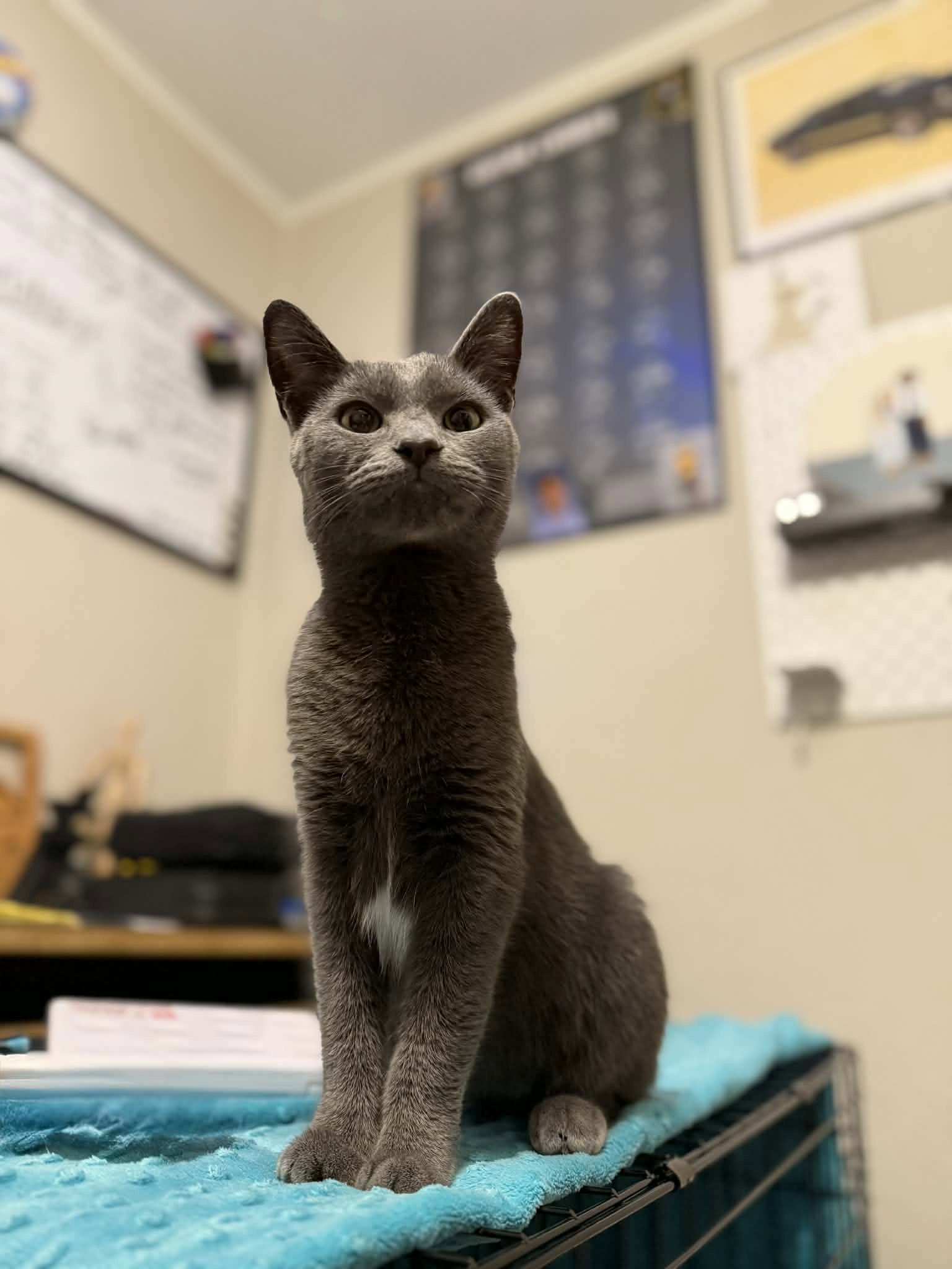 Stormy