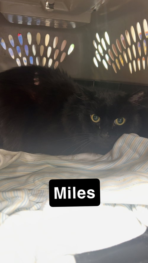 Miles