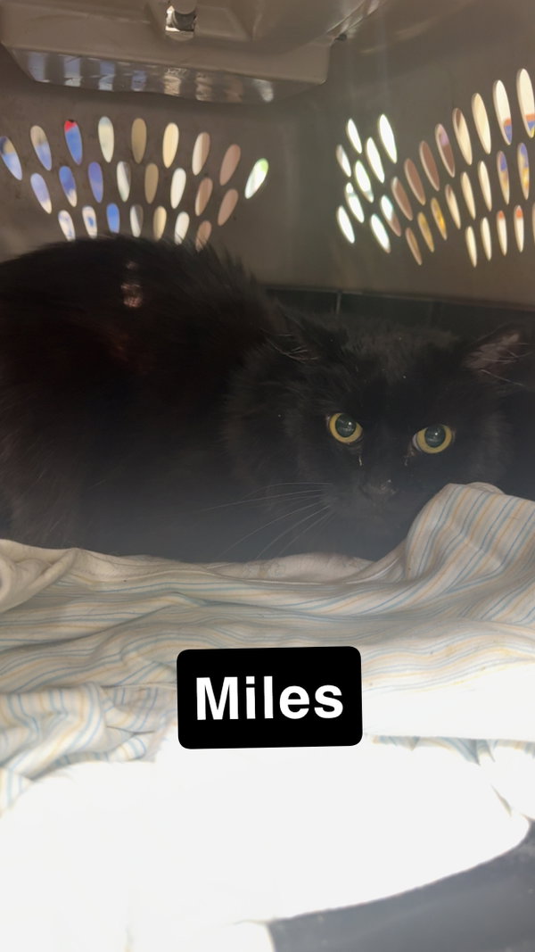 Miles