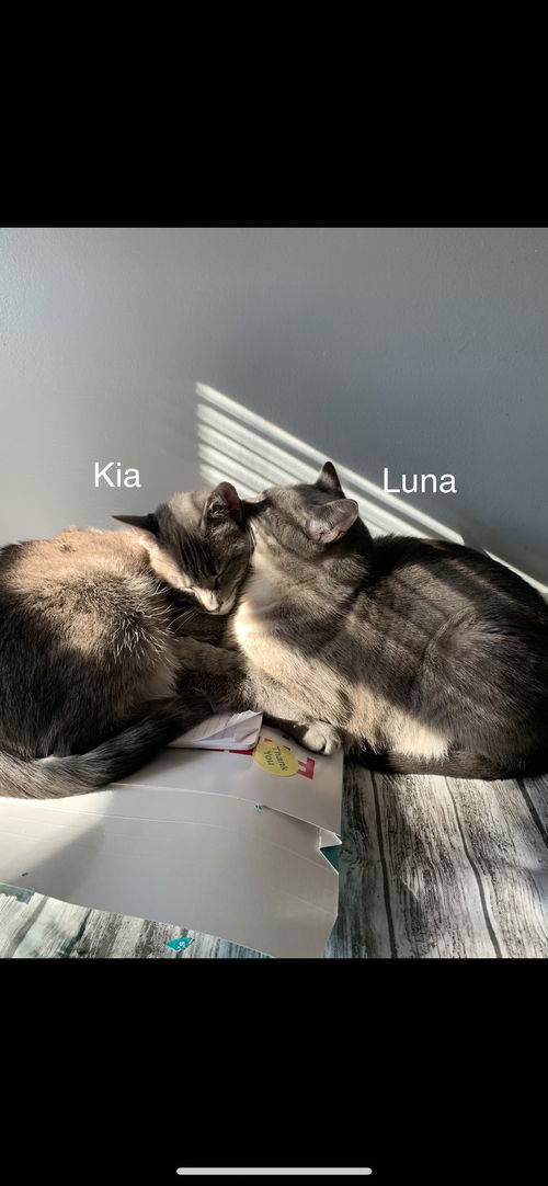 Kia and Luna