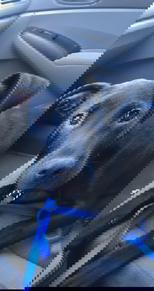 Jack