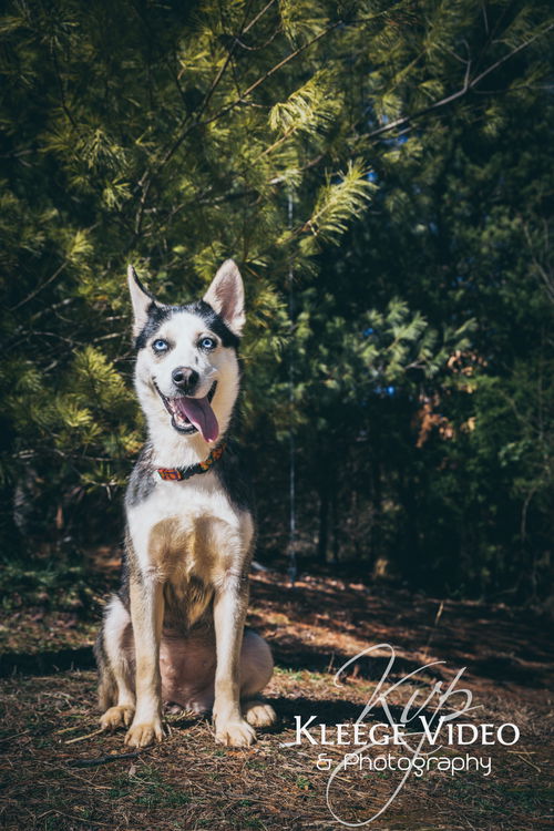 Kiya