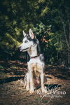 Kiya