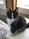 Oliver