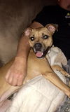 Zoey