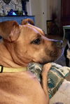 Zoey