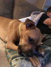 Zoey