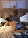 Zoey