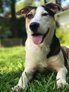 Ellie