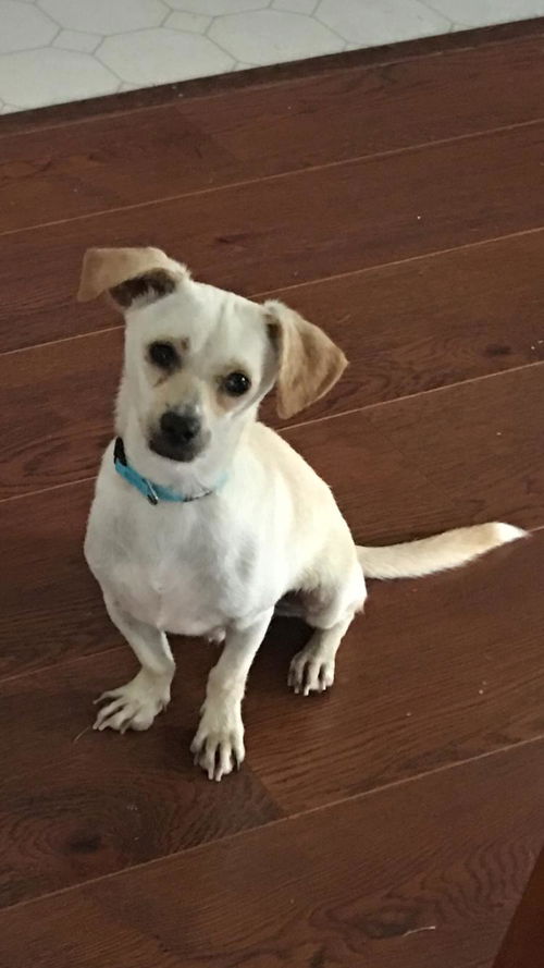 Otis